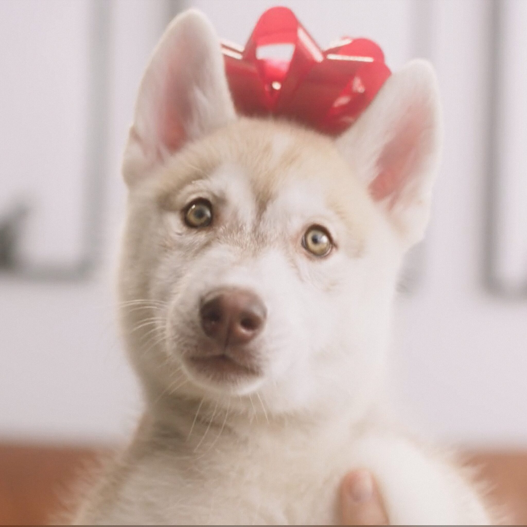 J’ARRÊTE – Campagne publicitaire au Bye Bye 2024